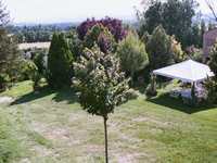 Vista giardino 2